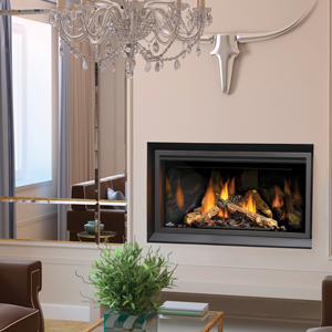 Napoleon direct Vent Fireplaces Napoleon direct Vent Fireplaces