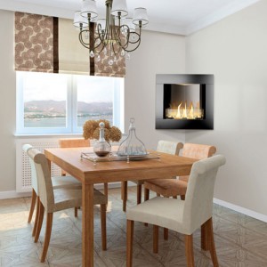 Napoleon Gas Fireplaces Napoleon Ethanol Fireplaces