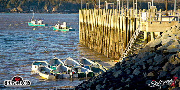 Where to get lobster - at the wharf right outside your front door